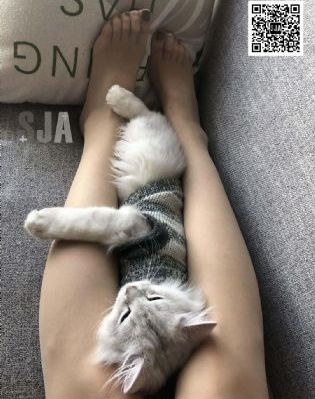疯狂的麦克斯6国语版在线观看_超清免费观看